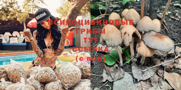 мяу мяу мука Армянск