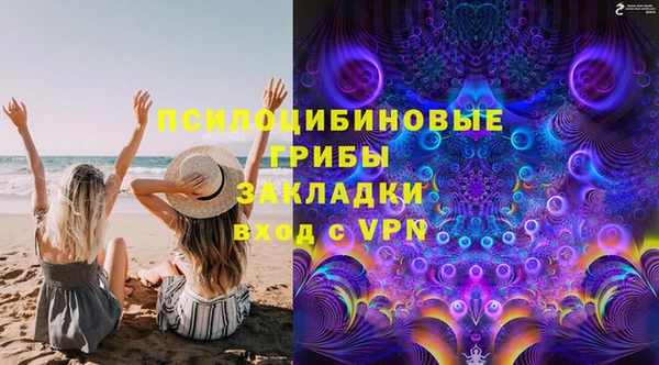 PSILOCYBIN Аркадак