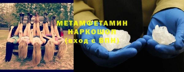 PSILOCYBIN Аркадак