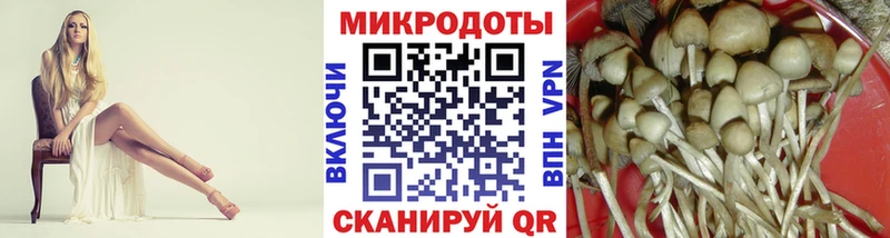 Купить закладки  Новая Усмань  Галлюциногенные грибы мухоморы 